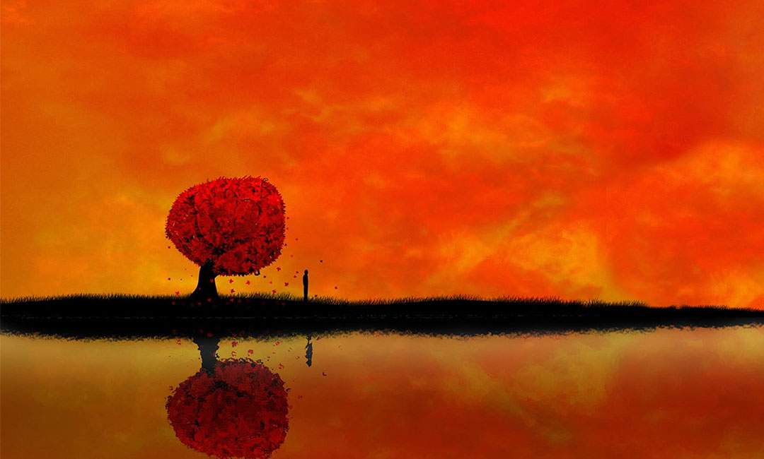 日照笙影微信朋友圈转发案例